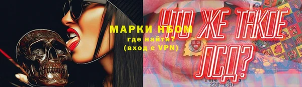 a pvp Алзамай